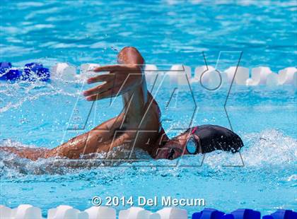 Thumbnail 1 in Hillsborough Western Conference Meet photogallery.