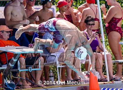 Thumbnail 3 in Hillsborough Western Conference Meet photogallery.