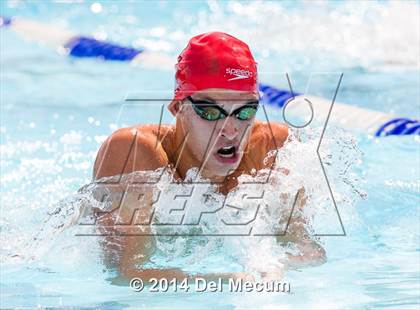 Thumbnail 1 in Hillsborough Western Conference Meet photogallery.