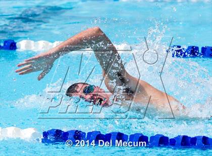 Thumbnail 3 in Hillsborough Western Conference Meet photogallery.