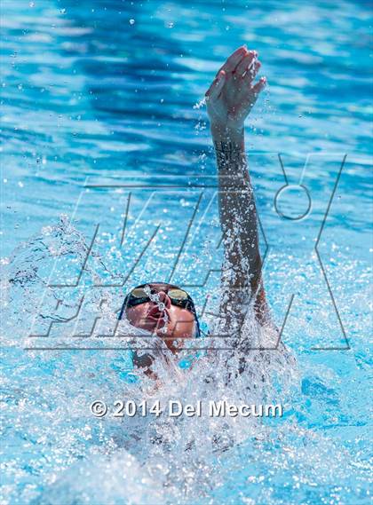 Thumbnail 1 in Hillsborough Western Conference Meet photogallery.