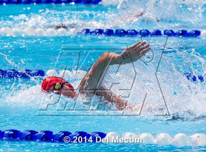 Thumbnail 1 in Hillsborough Western Conference Meet photogallery.