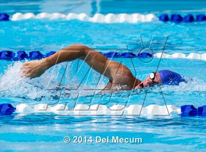 Thumbnail 1 in Hillsborough Western Conference Meet photogallery.