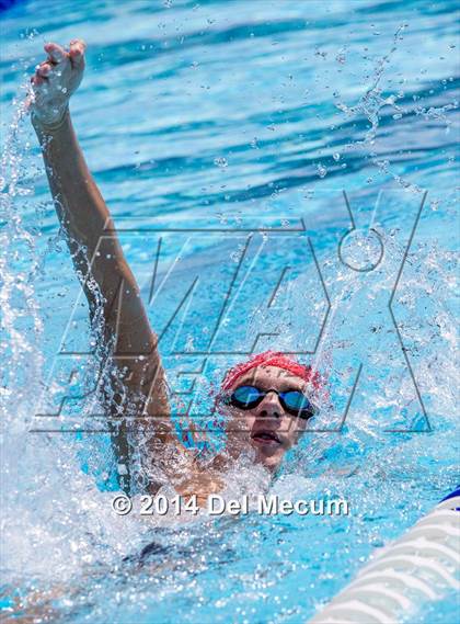 Thumbnail 2 in Hillsborough Western Conference Meet photogallery.