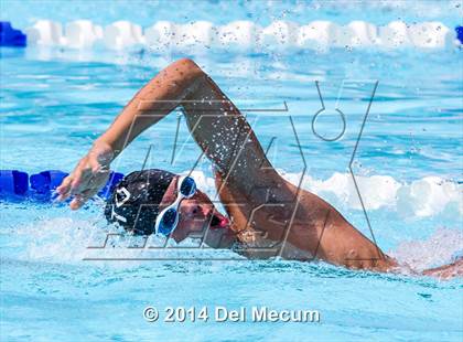 Thumbnail 2 in Hillsborough Western Conference Meet photogallery.