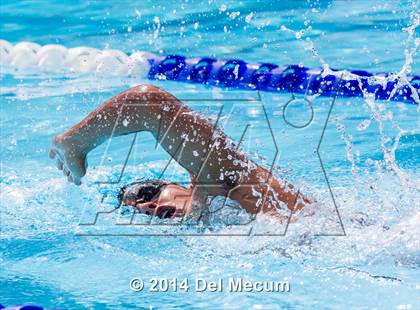 Thumbnail 2 in Hillsborough Western Conference Meet photogallery.