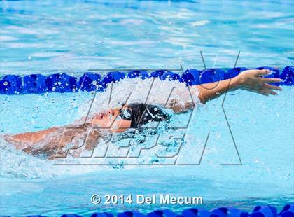 Thumbnail 2 in Hillsborough Western Conference Meet photogallery.