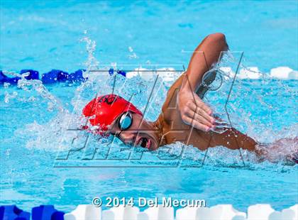 Thumbnail 1 in Hillsborough Western Conference Meet photogallery.