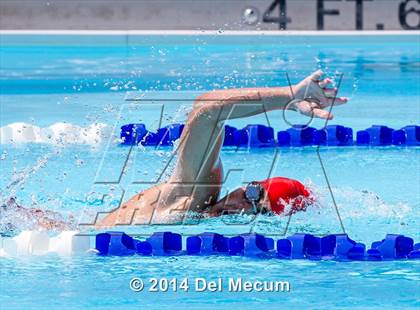 Thumbnail 1 in Hillsborough Western Conference Meet photogallery.