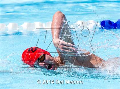 Thumbnail 2 in Hillsborough Western Conference Meet photogallery.