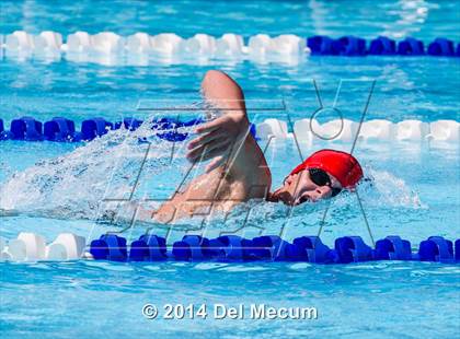Thumbnail 1 in Hillsborough Western Conference Meet photogallery.