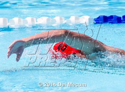 Thumbnail 1 in Hillsborough Western Conference Meet photogallery.