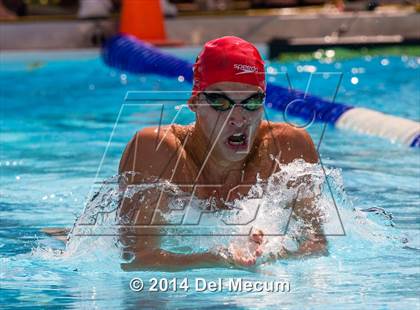 Thumbnail 1 in Hillsborough Western Conference Meet photogallery.