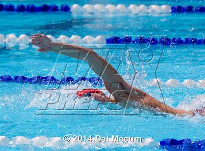Thumbnail 1 in Hillsborough Western Conference Meet photogallery.