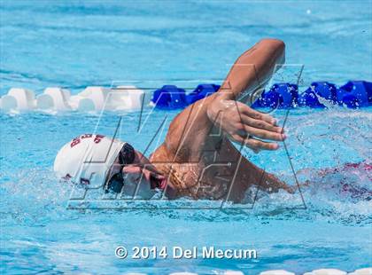 Thumbnail 2 in Hillsborough Western Conference Meet photogallery.