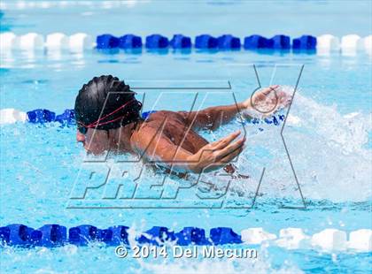 Thumbnail 1 in Hillsborough Western Conference Meet photogallery.