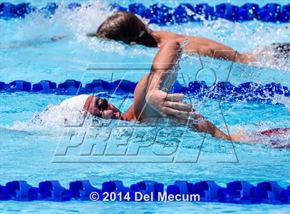 Thumbnail 1 in Hillsborough Western Conference Meet photogallery.