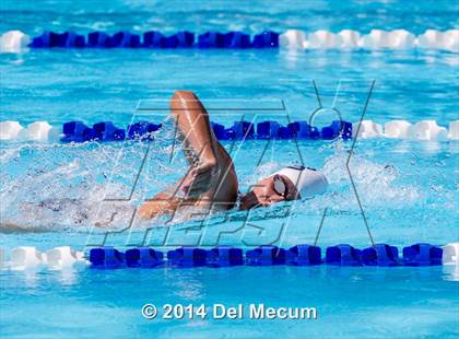 Thumbnail 3 in Hillsborough Western Conference Meet photogallery.