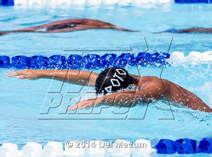 Thumbnail 1 in Hillsborough Western Conference Meet photogallery.