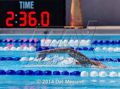 Thumbnail 2 in Hillsborough Western Conference Meet photogallery.