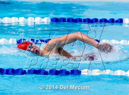 Thumbnail 2 in Hillsborough Western Conference Meet photogallery.