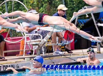 Thumbnail 3 in Hillsborough Western Conference Meet photogallery.