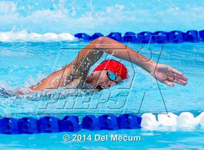 Thumbnail 1 in Hillsborough Western Conference Meet photogallery.