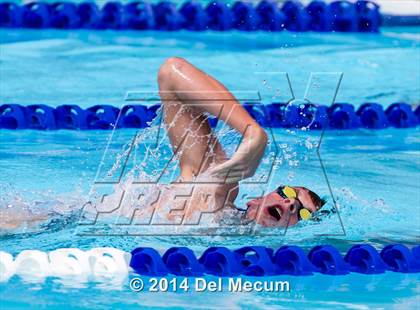 Thumbnail 2 in Hillsborough Western Conference Meet photogallery.
