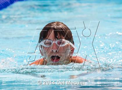 Thumbnail 1 in Hillsborough Western Conference Meet photogallery.