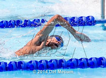Thumbnail 1 in Hillsborough Western Conference Meet photogallery.