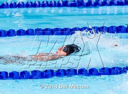 Thumbnail 3 in Hillsborough Western Conference Meet photogallery.