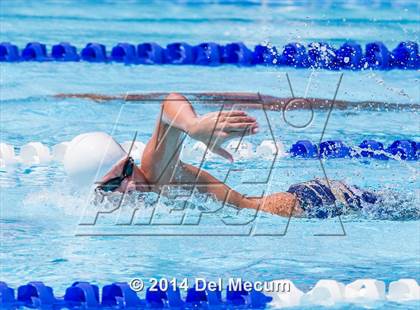 Thumbnail 1 in Hillsborough Western Conference Meet photogallery.