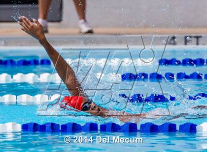 Thumbnail 1 in Hillsborough Western Conference Meet photogallery.
