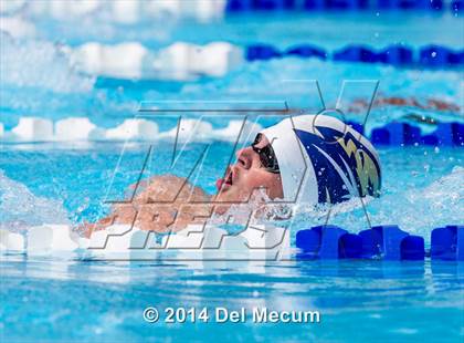 Thumbnail 2 in Hillsborough Western Conference Meet photogallery.