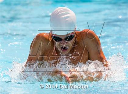 Thumbnail 1 in Hillsborough Western Conference Meet photogallery.
