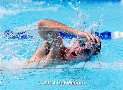 Thumbnail 1 in Hillsborough Western Conference Meet photogallery.