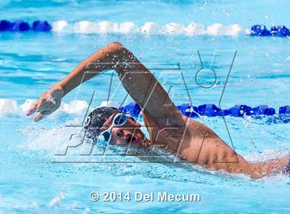 Thumbnail 3 in Hillsborough Western Conference Meet photogallery.