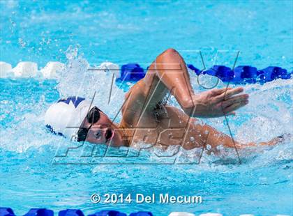 Thumbnail 3 in Hillsborough Western Conference Meet photogallery.