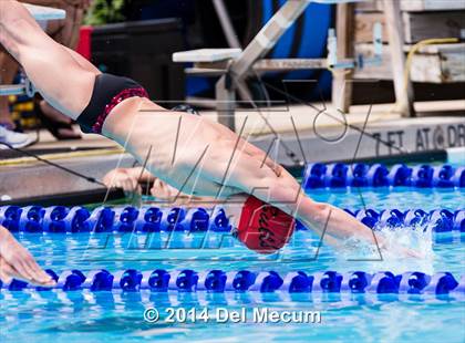 Thumbnail 2 in Hillsborough Western Conference Meet photogallery.