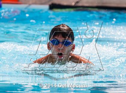 Thumbnail 3 in Hillsborough Western Conference Meet photogallery.