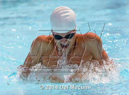 Thumbnail 3 in Hillsborough Western Conference Meet photogallery.