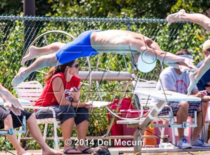 Thumbnail 1 in Hillsborough Western Conference Meet photogallery.