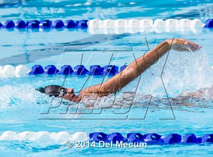 Thumbnail 3 in Hillsborough Western Conference Meet photogallery.