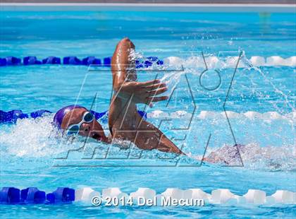 Thumbnail 1 in Hillsborough Western Conference Meet photogallery.