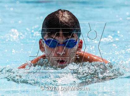 Thumbnail 1 in Hillsborough Western Conference Meet photogallery.