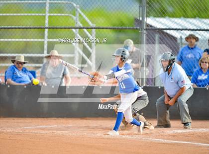 Thumbnail 1 in Sabino vs Safford photogallery.