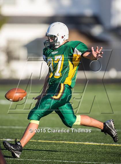Thumbnail 3 in Champe @ Loudoun Valley photogallery.