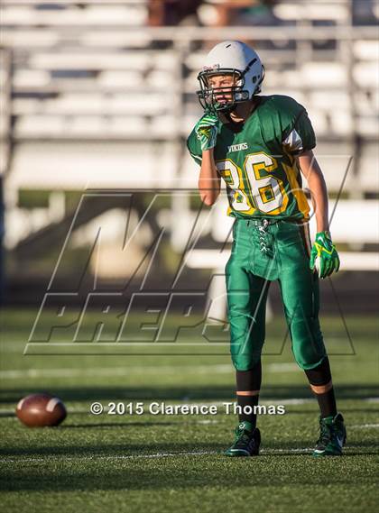 Thumbnail 2 in Champe @ Loudoun Valley photogallery.