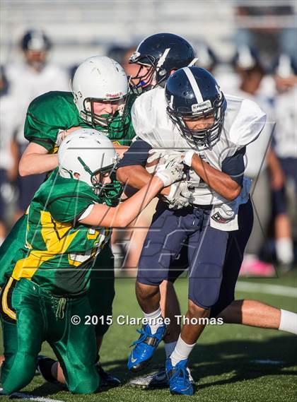 Thumbnail 1 in Champe @ Loudoun Valley photogallery.