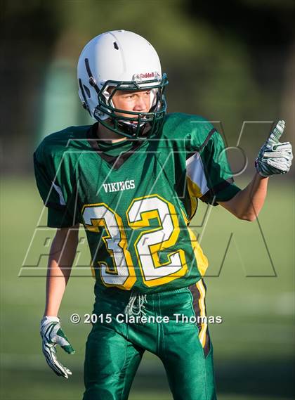 Thumbnail 1 in Champe @ Loudoun Valley photogallery.